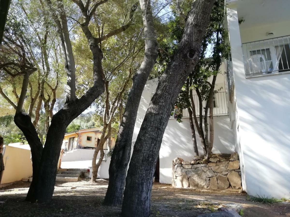 In Campagna Da Nino Ξενοδοχείο Όλμπια Εξωτερικό φωτογραφία