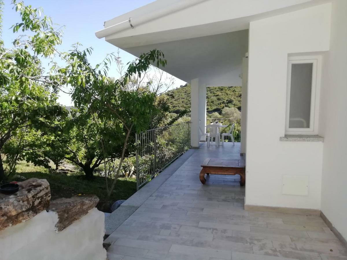 In Campagna Da Nino Ξενοδοχείο Όλμπια Εξωτερικό φωτογραφία
