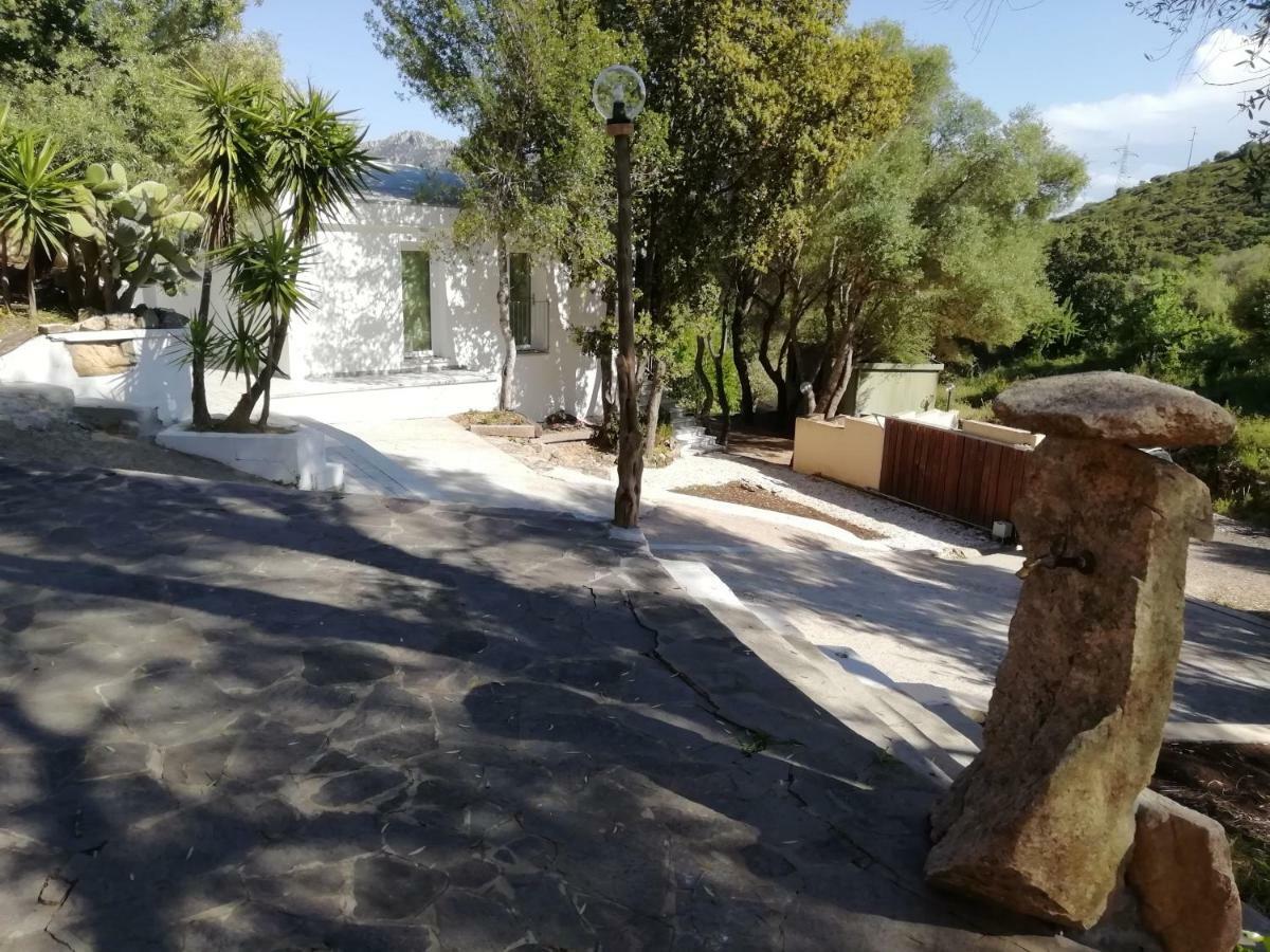 In Campagna Da Nino Ξενοδοχείο Όλμπια Εξωτερικό φωτογραφία